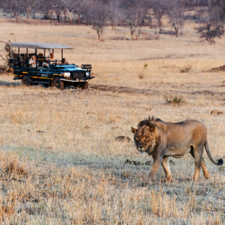Matetsi Victoria Falls (3)