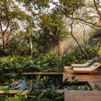 One & Only Mandarina (3) One & Only Mandarina (3)