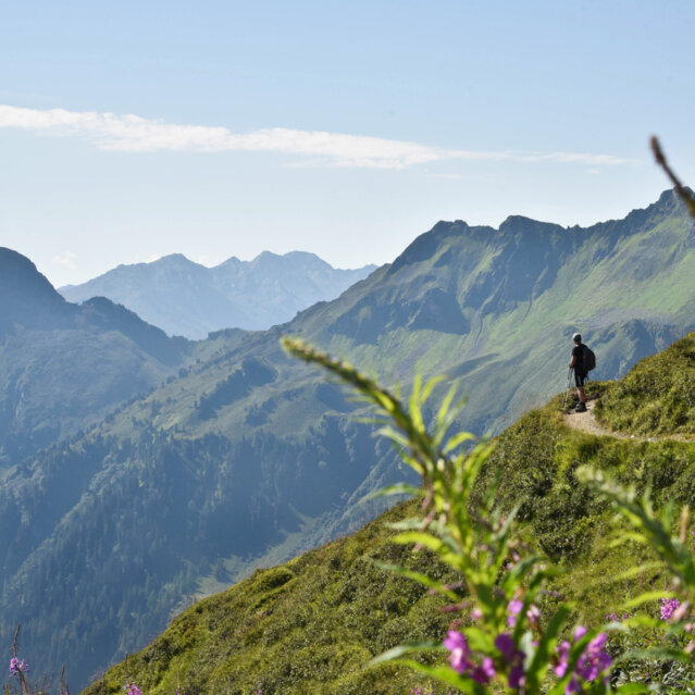 TVB Alpbachtal & Tiroler Seenland I Panoramaweg am Wiedersbergerhorn