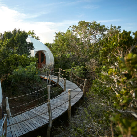 Wild Coast Tented Lodge I Sri Lanka (29)