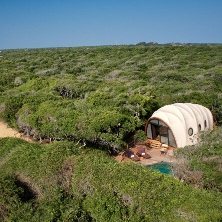 Wild Coast Tented Lodge I Sri Lanka (3)