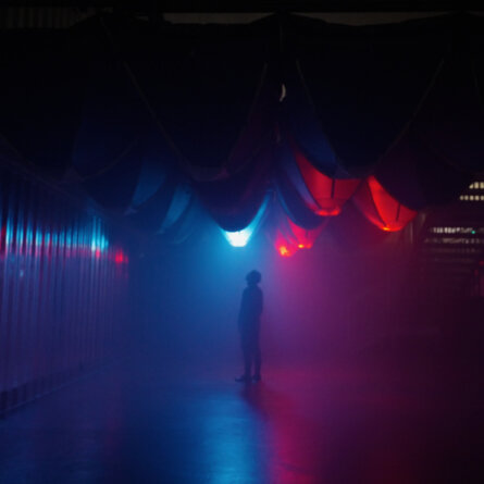 Marionette I By Frank Sauer (2)