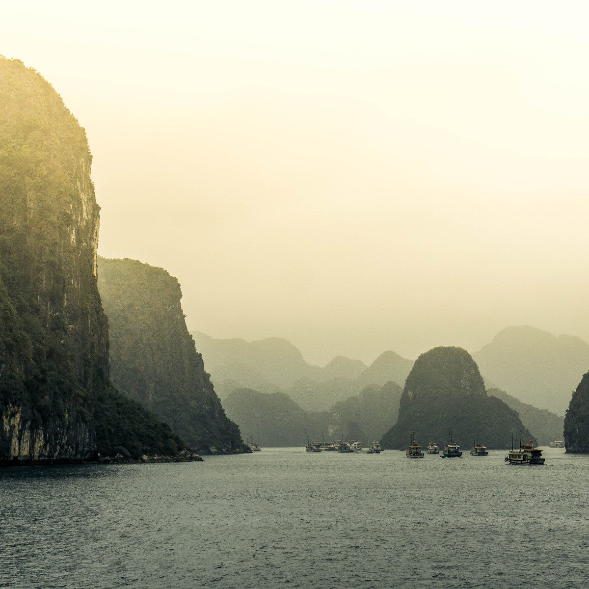 Vietnam I Foto von Warren Wong auf Unsplash