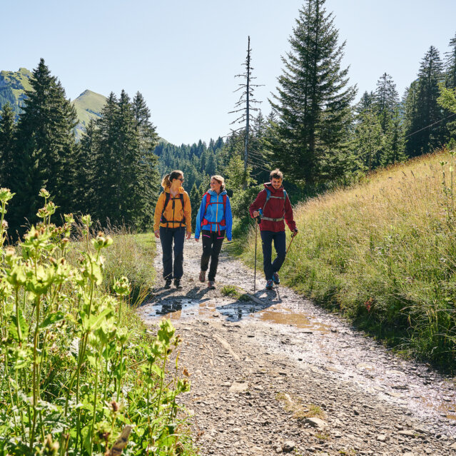 Wandern-im-Bregenzerwald_Bregenzerwald-Tourismus_Alexander-Kaiser Wandern-im-Bregenzerwald_Bregenzerwald-Tourismus_Alexander-Kaiser