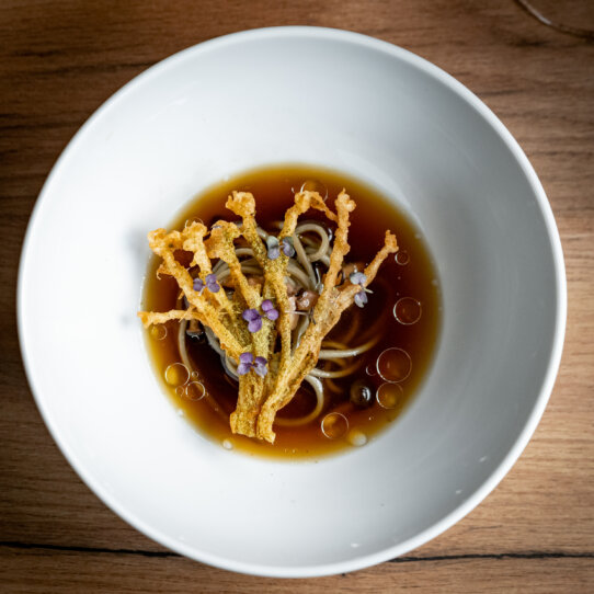 Z'som I 1 I Foto by Graeme Kennedy