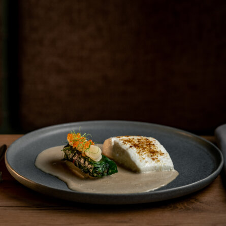 Z'som I 2 I Foto by Graeme Kennedy