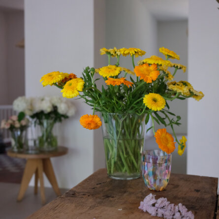 Garage des Fleurs Nikolassee-02