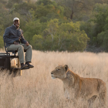 Sabi Sabi Private Game Reserve I Safari (17)