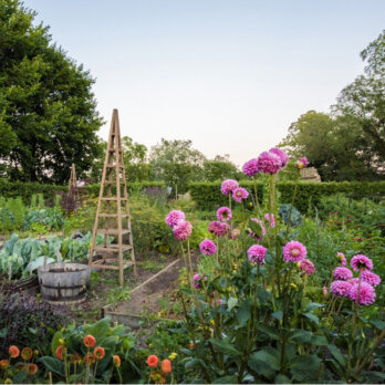 Schlossgarten_Petzow_Blumen