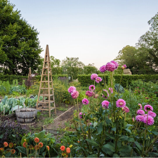 Schlossgarten_Petzow_Blumen