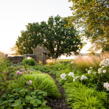 Schlossgarten Petzow I 5