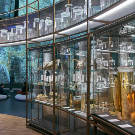 un_endlich I RFK Architects & Tom Piper I Georg Lendorff I Stiftung Humboldt Forum I im Berliner Schloss I Foto Alexander Schippel