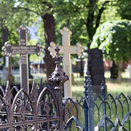 Alter Berliner Garnisonfriedhof _ Foto Ole Zimmermann (59)