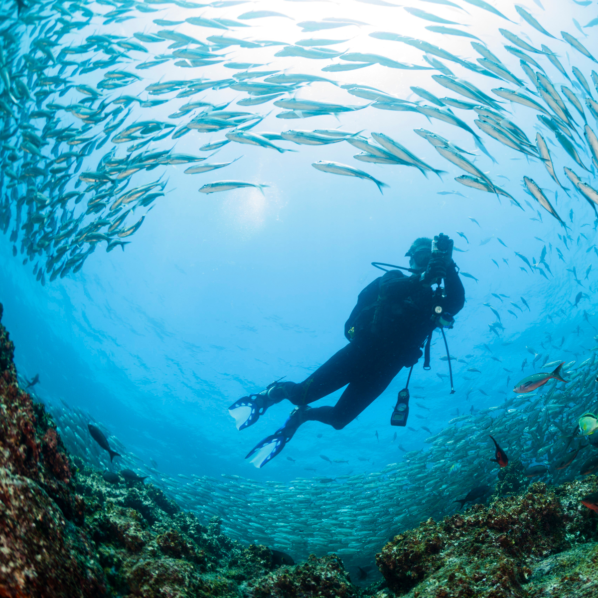 Galapagos Inseln (3)