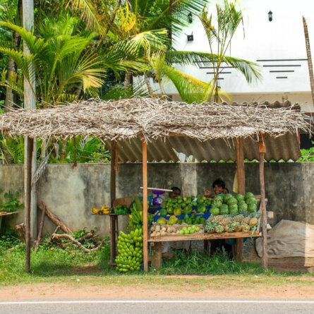 Haritha Villas + Spa I Excursions & Surrounding Areas I 3