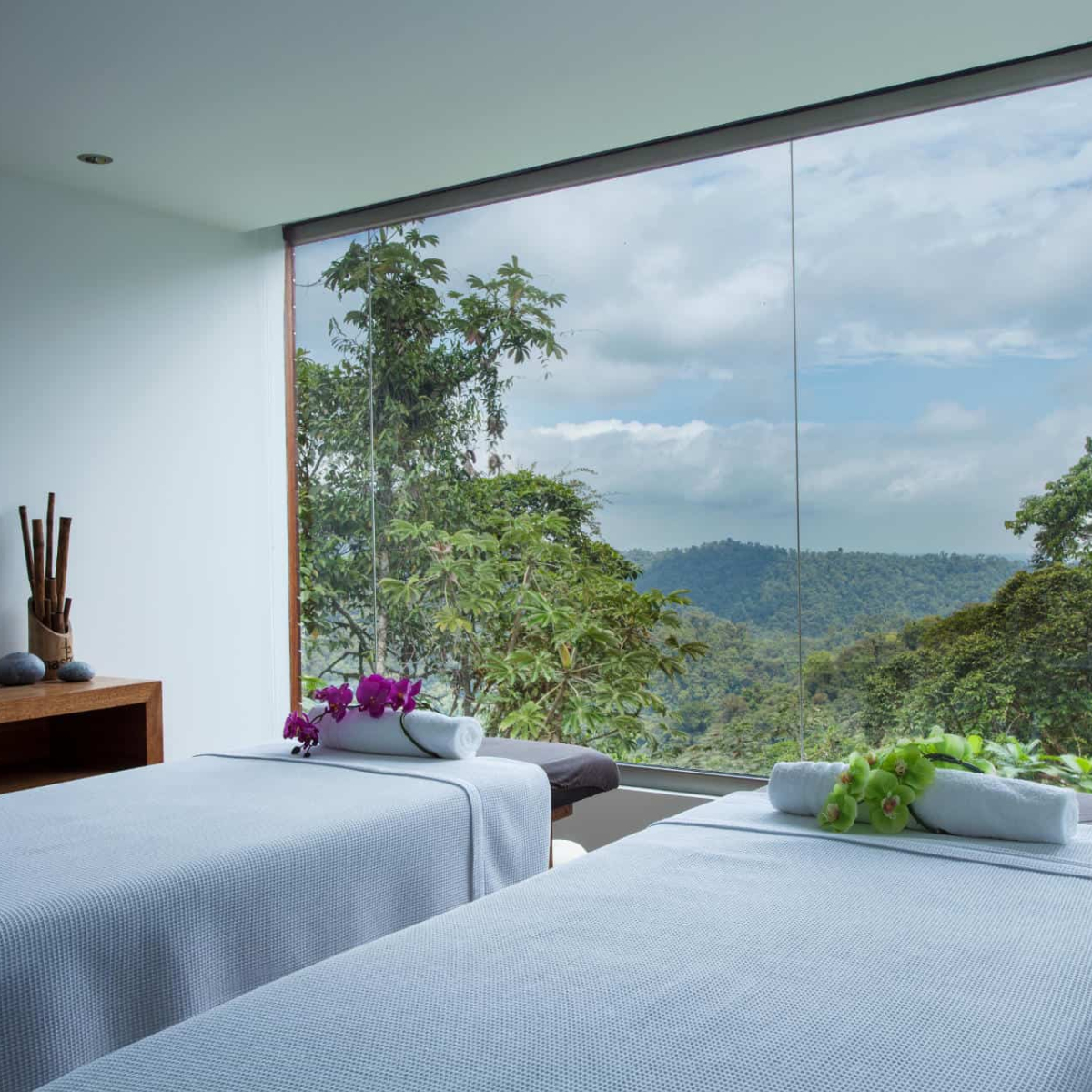 Mashpi Lodge Ecuador (3)