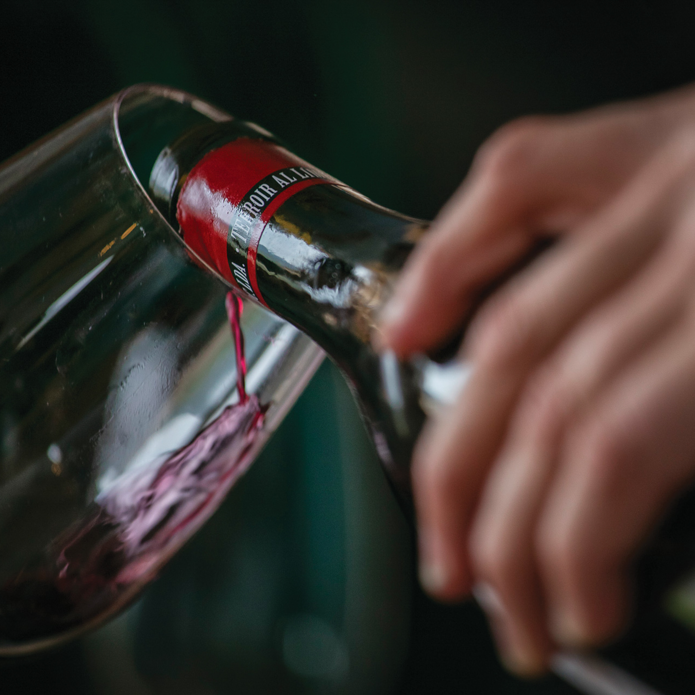 Rutz Zollhaus I Terroir al Limit I Dominik Huber I Torroja