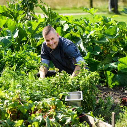 Schloss Kaarz I Gemüsegarten