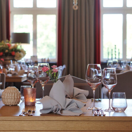 Schloss Kaarz I Roter Salon