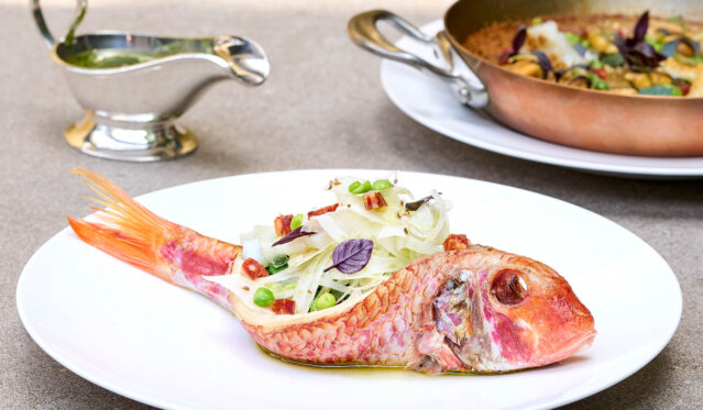 Tantris Maison Culinaire - DNA - Rotbarbe