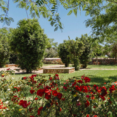 Vestige Son Vell _ Menorca (11)