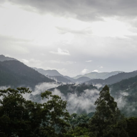 Bwindi Lodge Uganda (14)
