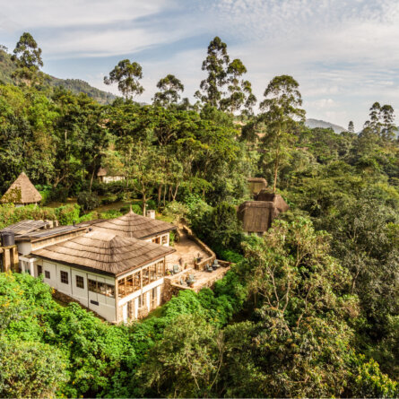 Bwindi Lodge Uganda (2)
