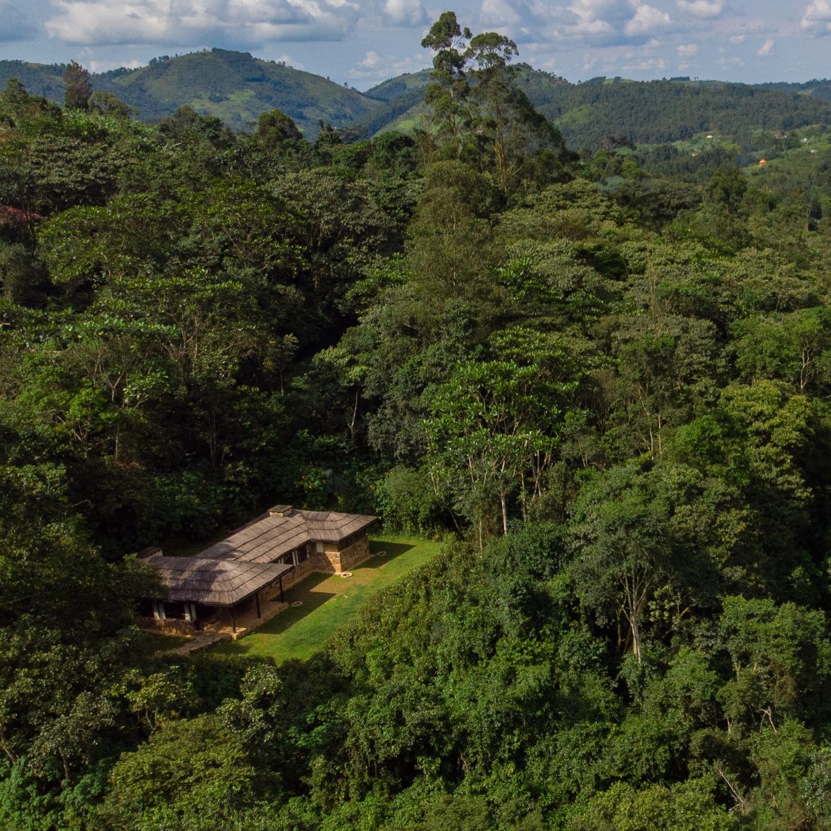 Bwindi Lodge Uganda (7)