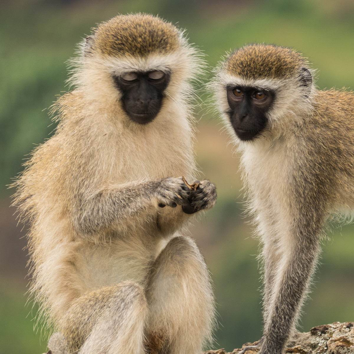 Uganda Rundreise (11)