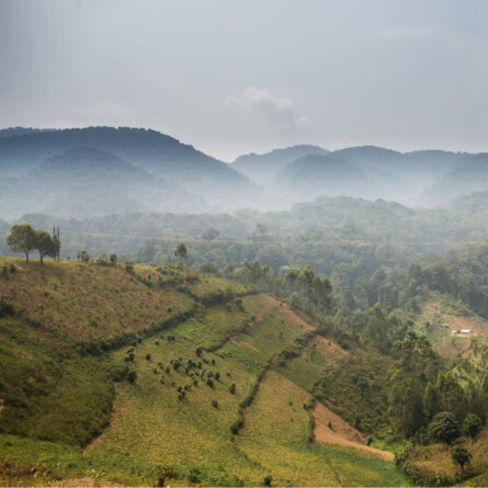 Uganda Rundreise (13)