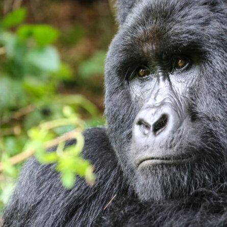 Uganda Rundreise (15)