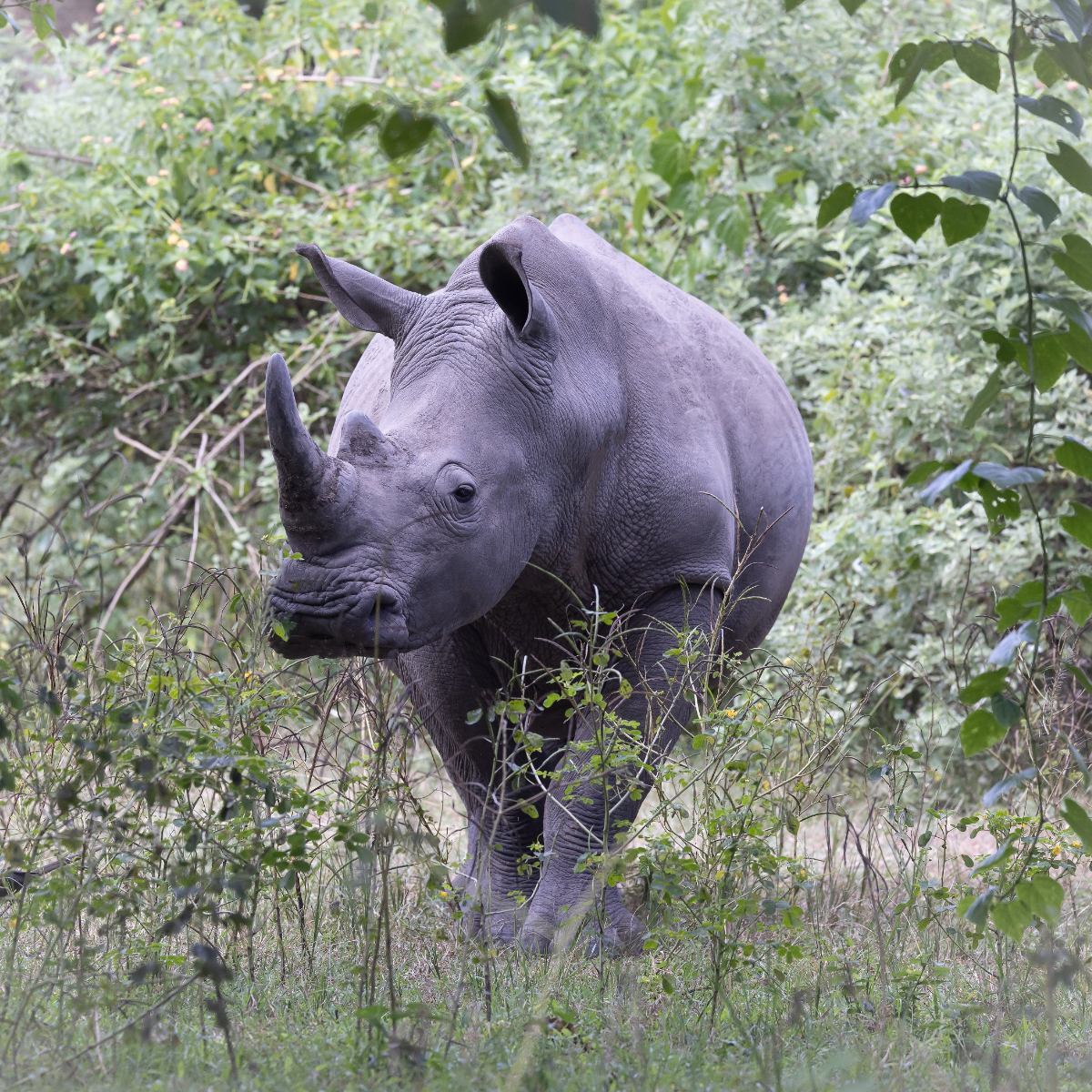 Uganda Rundreise (2)