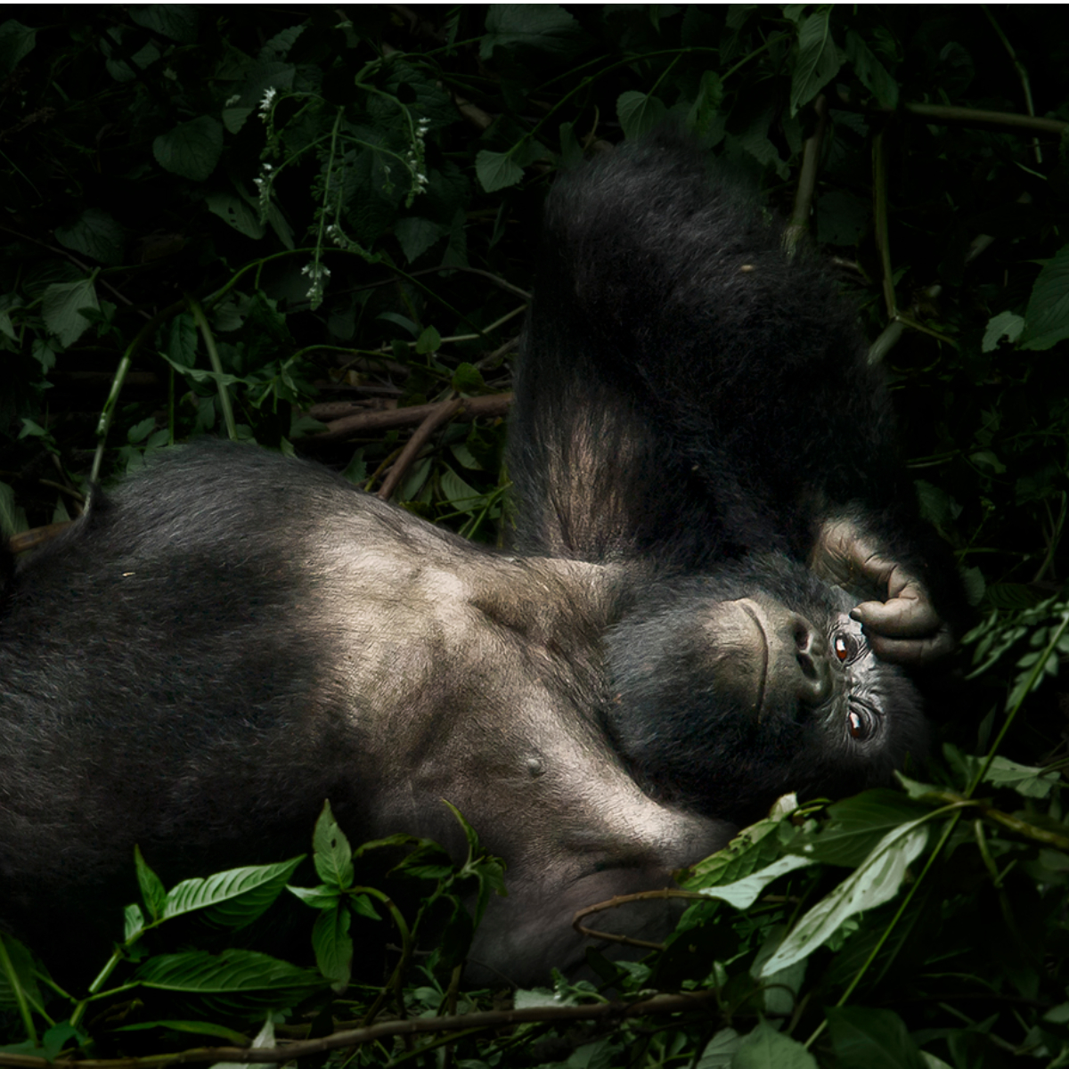 Uganda Rundreise (24)