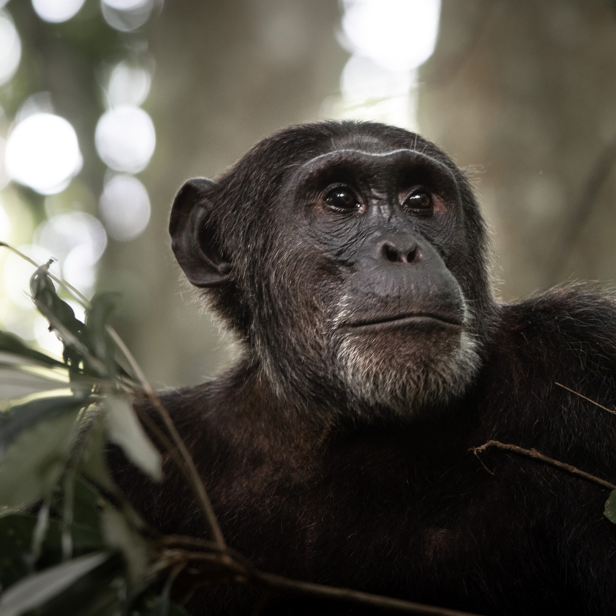 Uganda Rundreise (6)