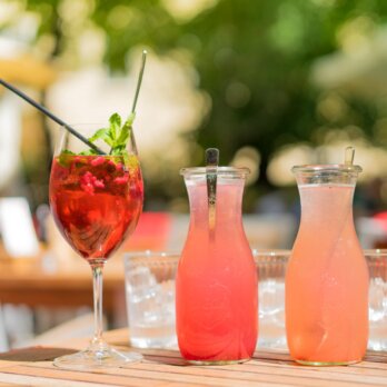 Café Diglas Garten Wien-3