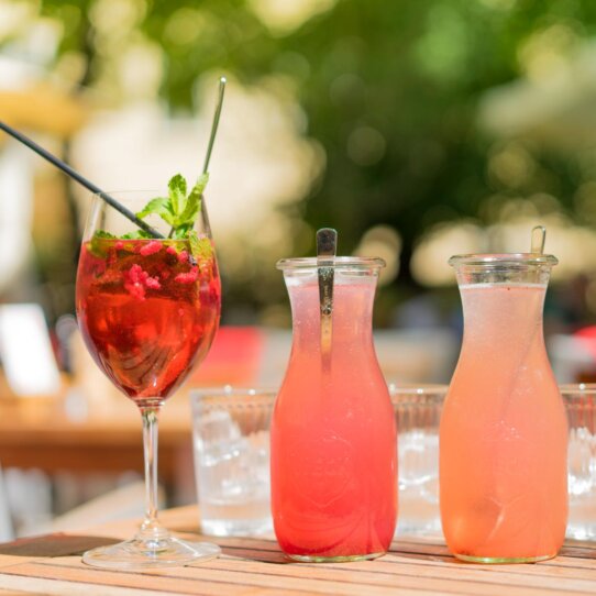 Café Diglas Garten Wien-3 Café Diglas Garten Wien-3