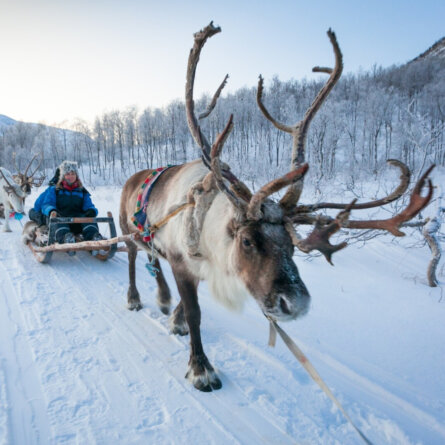 Foto Konrad-Konieczny www.nordnorge.com_ Norwegen