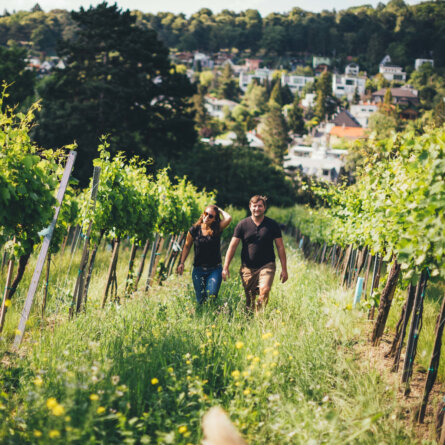 Genusswandern Österreich | Wien I Weingut Heuriger Fuhrgassl-Huber | Foto: Florence Stoiber