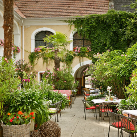 Genusswandern Österreich | Niederoesterreich | Weingut-Holzapfel | Foto Christina Haeusler