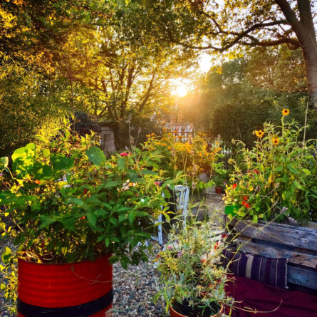 Laax Outdoor Café + Biergarten Schöneberg-3