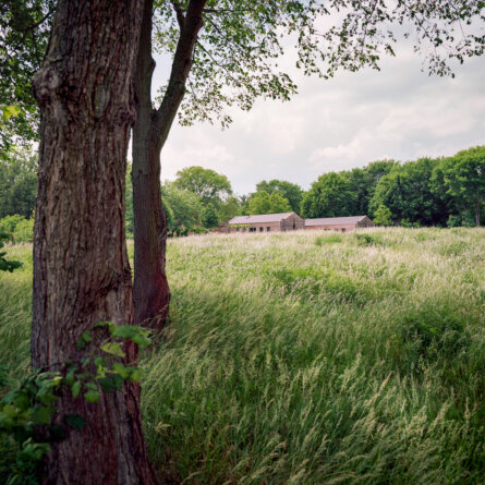PickNick im Schlossgarten Petzow-2