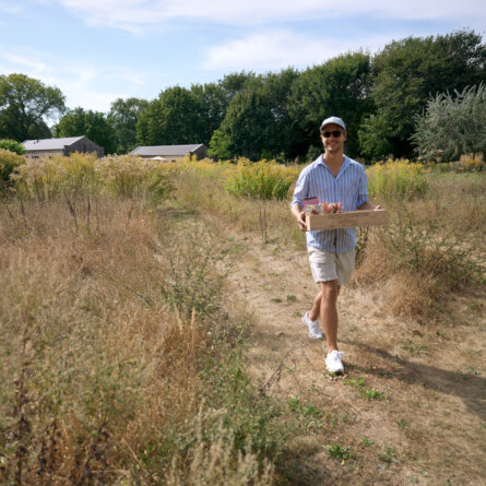 PickNick im Schlossgarten Petzow-5