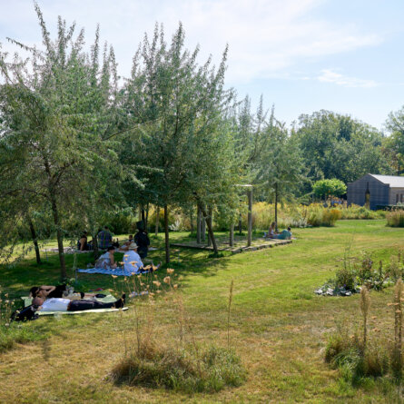PickNick im Schlossgarten Petzow-8
