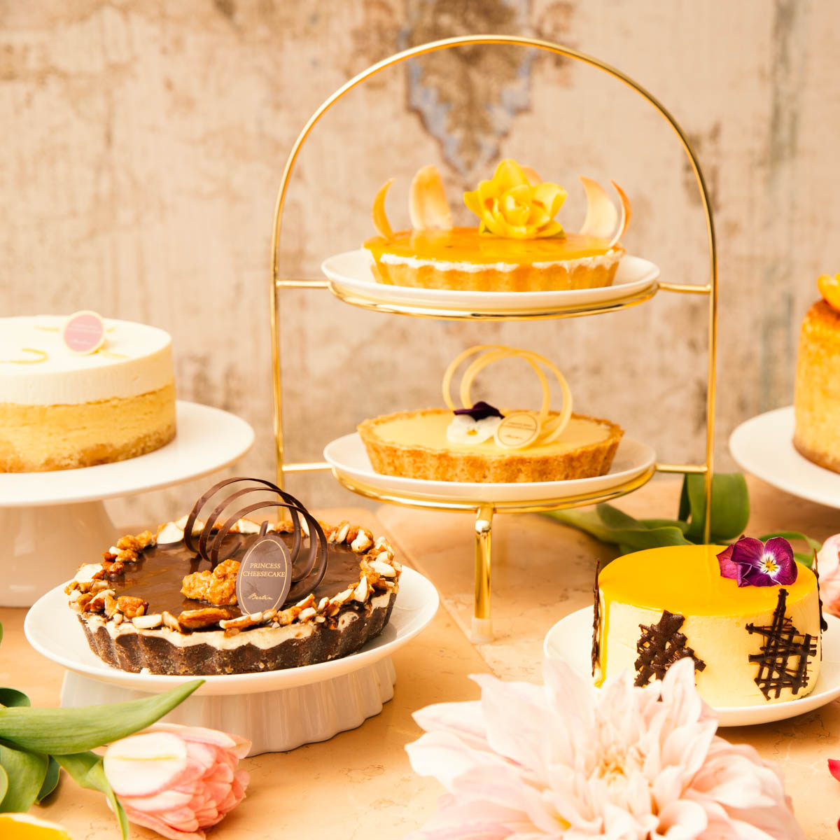 Princess Cheescake Berlin-1 Princess Cheescake Berlin-1