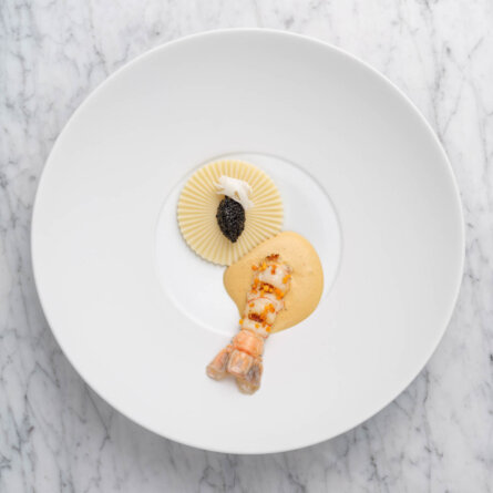 Restaurant Glasswing Wien-04