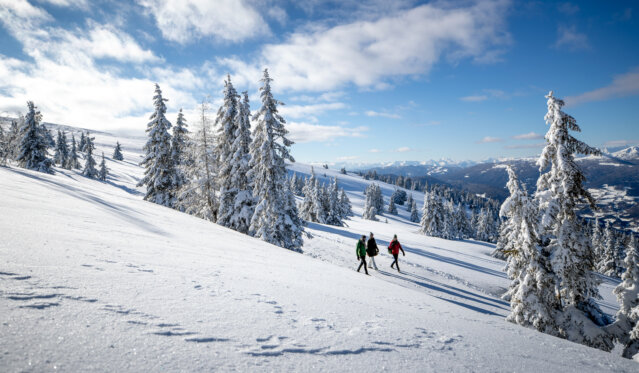 Spazieren gehen auf der Frauenalpe bei Murau | Foto Tomm Lamm