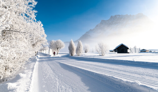 Ausblicke-im-Moos-Tiroler-zugspitz-Arena_Tiroler-Zugspitz-Arena_Frozenlights-Tiroler-Zugspitz-Arena-