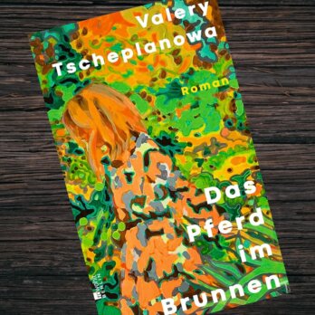 Das Pferd im Brunnen I Valery Tscheplanowa I rowohlt