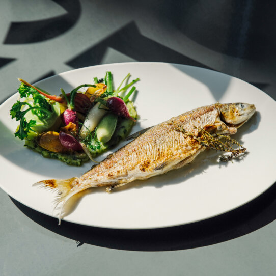 Goldfisch Wien-5 © G Kuntscher