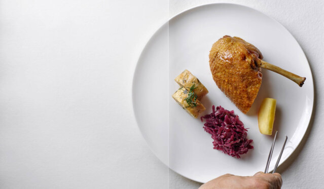 Horvath Gans © René Riis Horvath Gans © René Riis